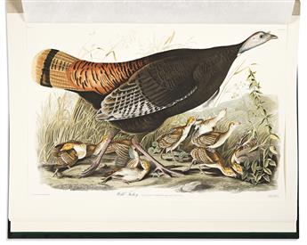 AUDUBON, JOHN JAMES. Six Plates from Birds of America.